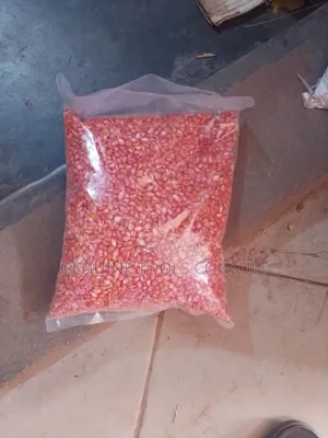 Hybrid Maize Seeds and Popcorn Seeds