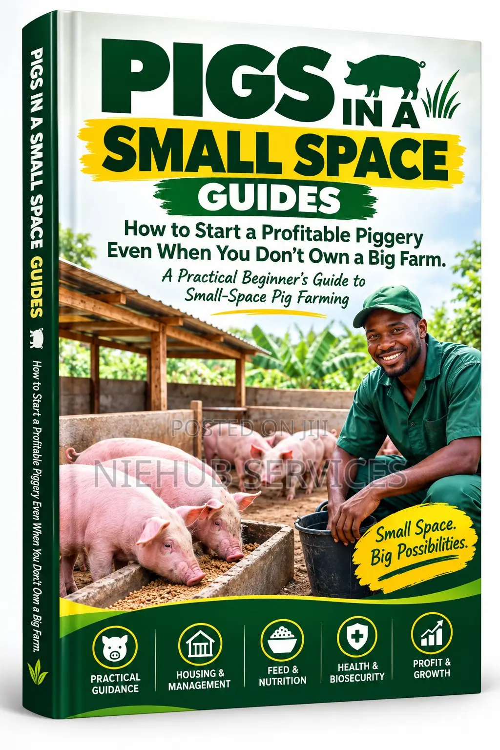 Pigs Business in a Small Space Guide