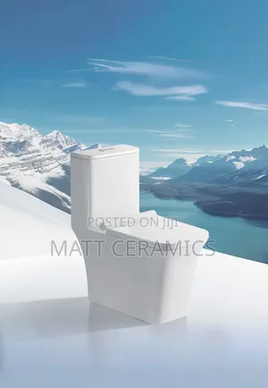 Cheap Toilet Sets Seats