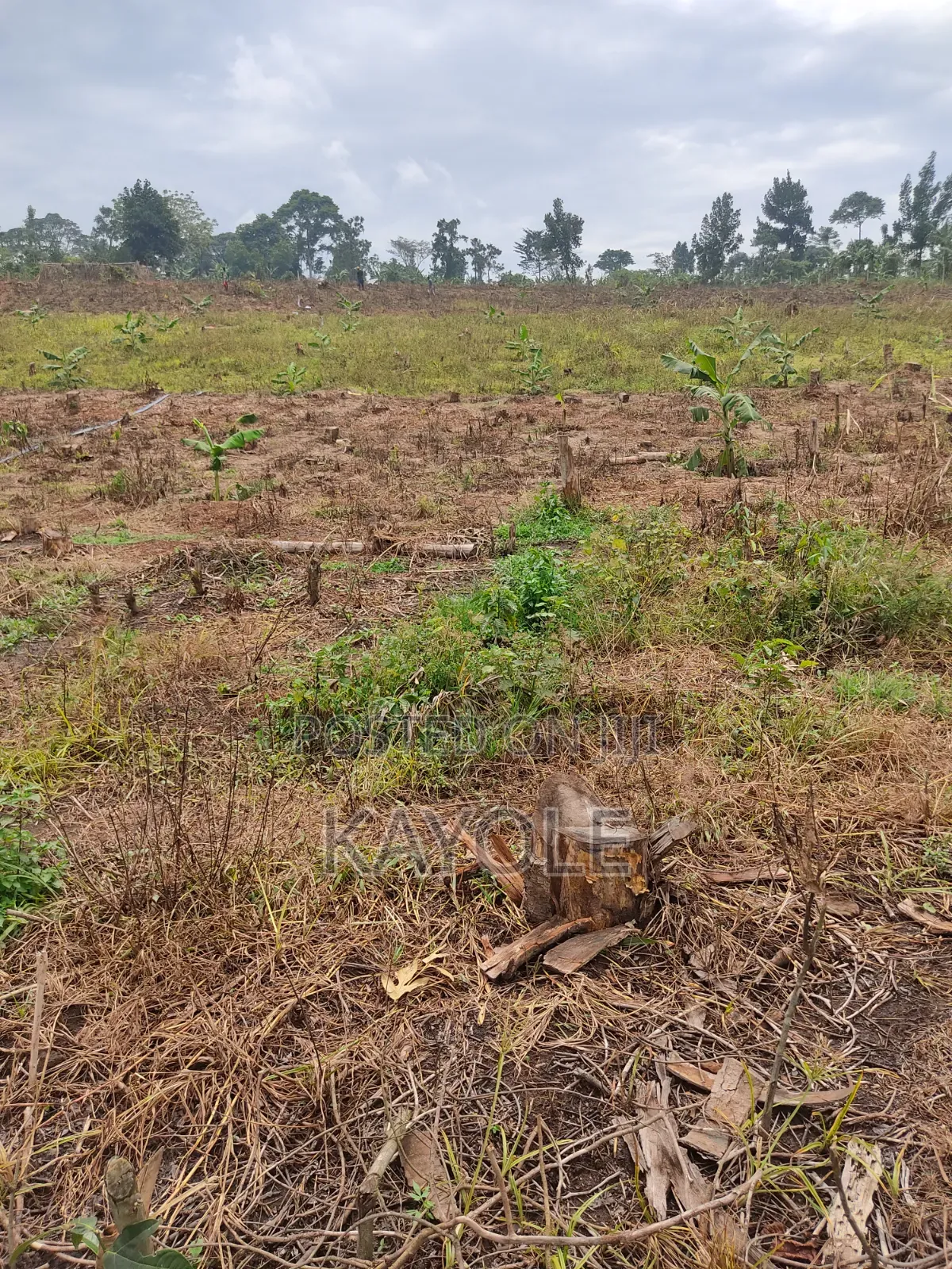 3acres Tittled Land for Sale