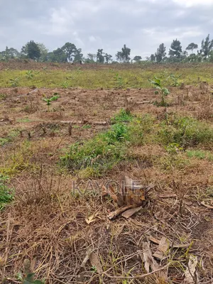 3acres Tittled Land for Sale
