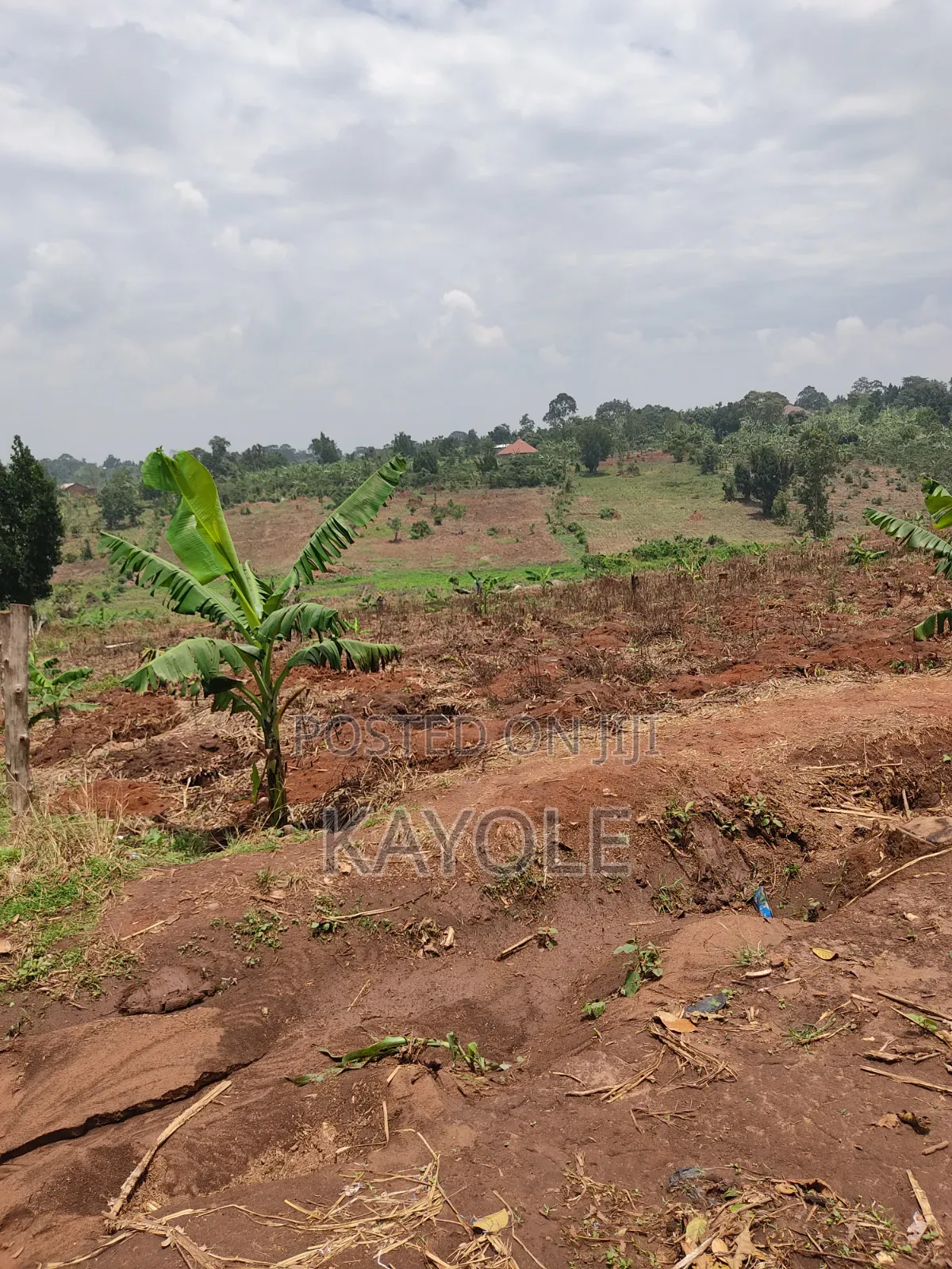 3acres Tittled Land for Sale