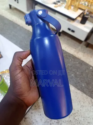 Insulated Stainless Steel Water Bottle