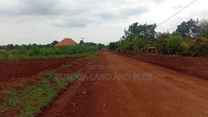 3 Acres Freehold Title With 3 Phase Electricity,Jinja City,45m an Acre