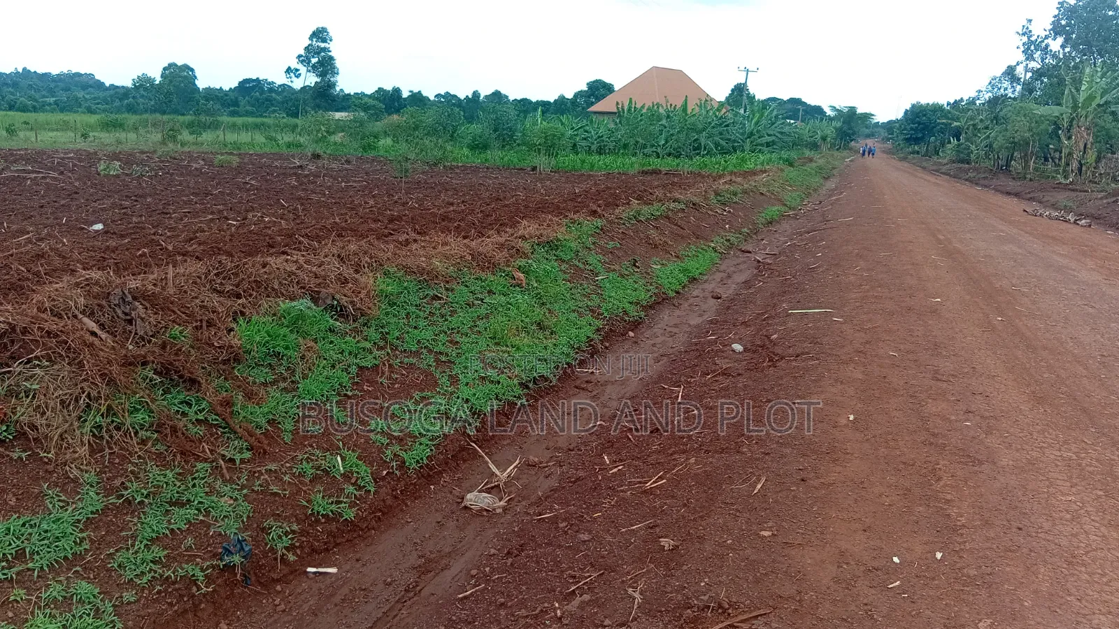 3 Acres Freehold Title With 3 Phase Electricity,Jinja City,45m an Acre