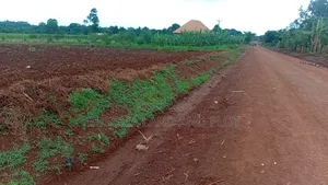 3 Acres Freehold Title With 3 Phase Electricity,Jinja City,45m an Acre