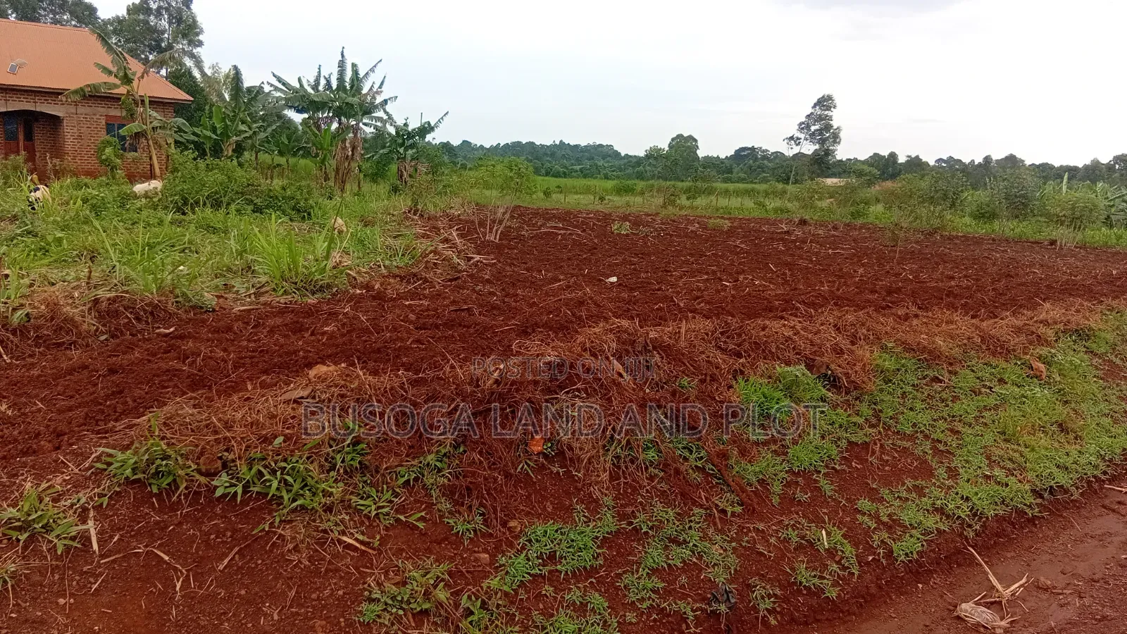 3 Acres Freehold Title With 3 Phase Electricity,Jinja City,45m an Acre