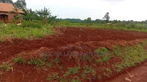 3 Acres Freehold Title With 3 Phase Electricity,Jinja City,45m an Acre