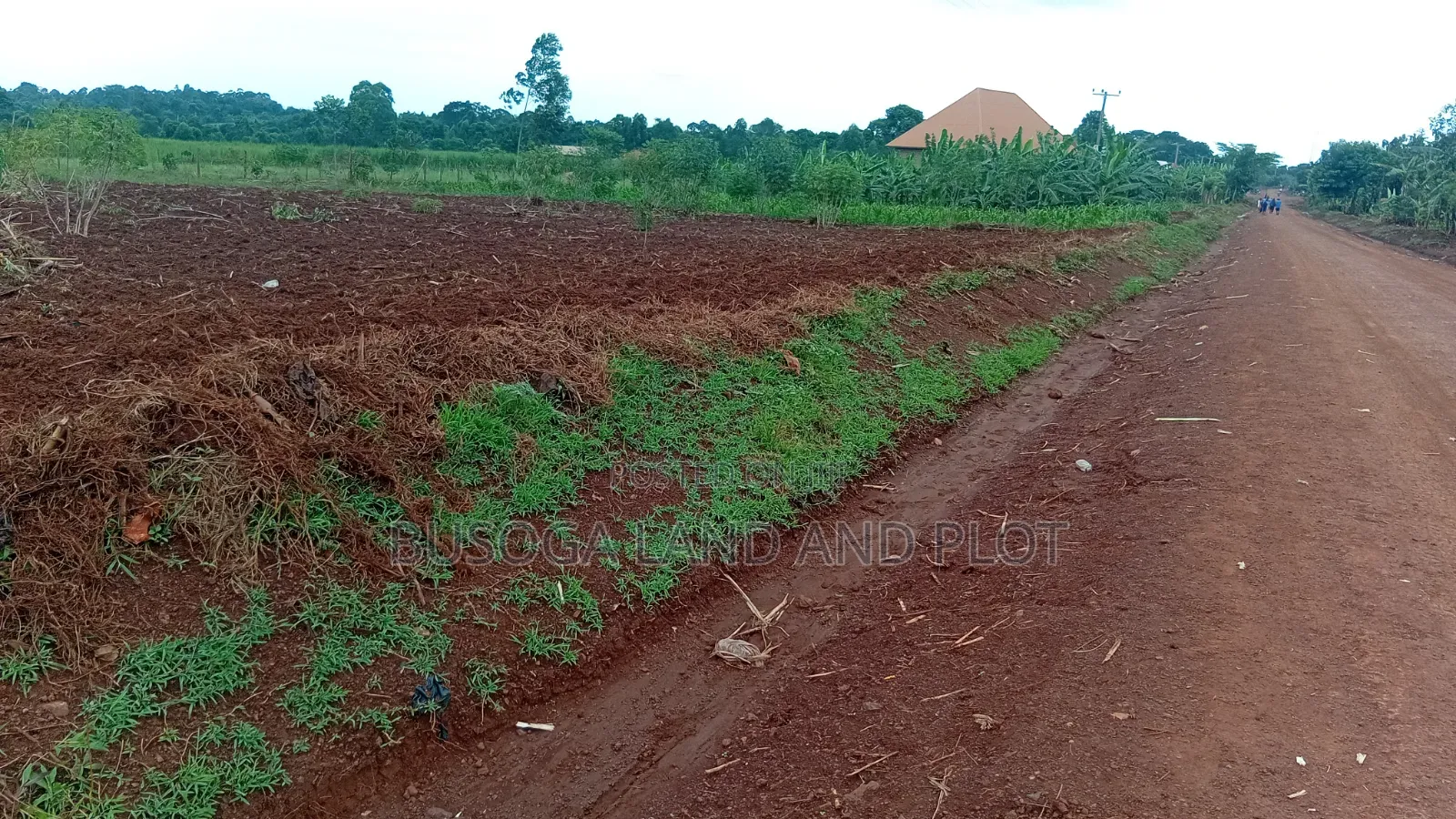 3 Acres Freehold Title With 3 Phase Electricity,Jinja City,45m an Acre