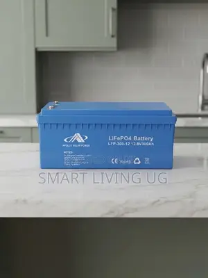 Durable Apollo 300Ah Lithium Iron Phosphate Solar Battery ZAH