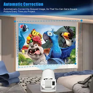 Portable Smart Projector