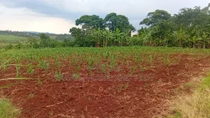 10 Acres of Land With River Nile Views, Jinja City, at 45m an Acre