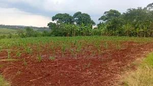 10 Acres of Land With River Nile Views, Jinja City, at 45m an Acre