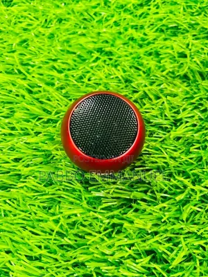 JBL Tiny Speaker