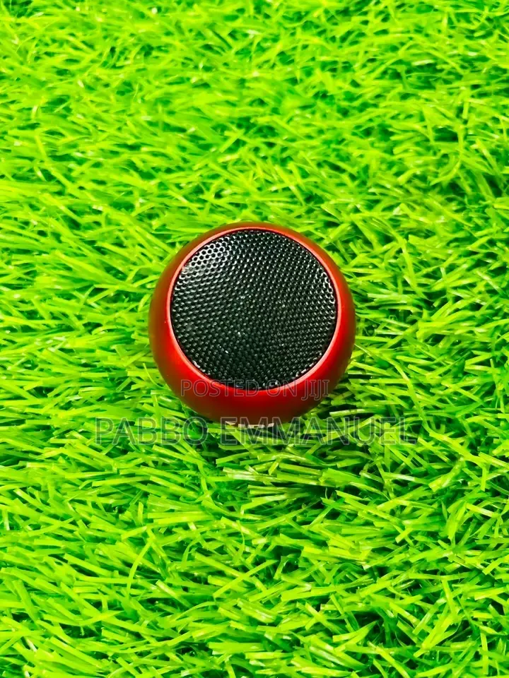 JBL Tiny Speaker