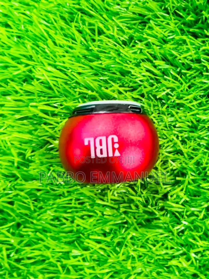 JBL Tiny Speaker