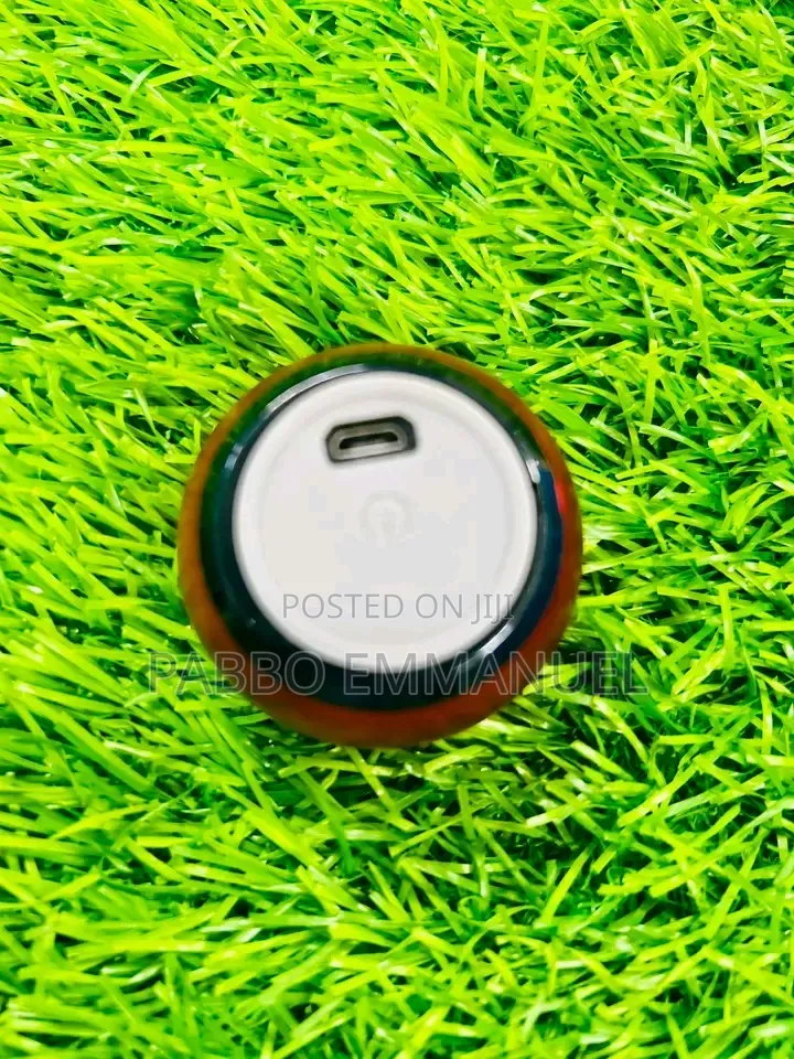 JBL Tiny Speaker