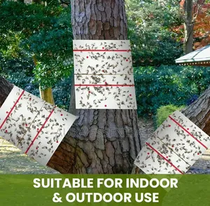 Trap Expert Flying Insect Glue Sticker