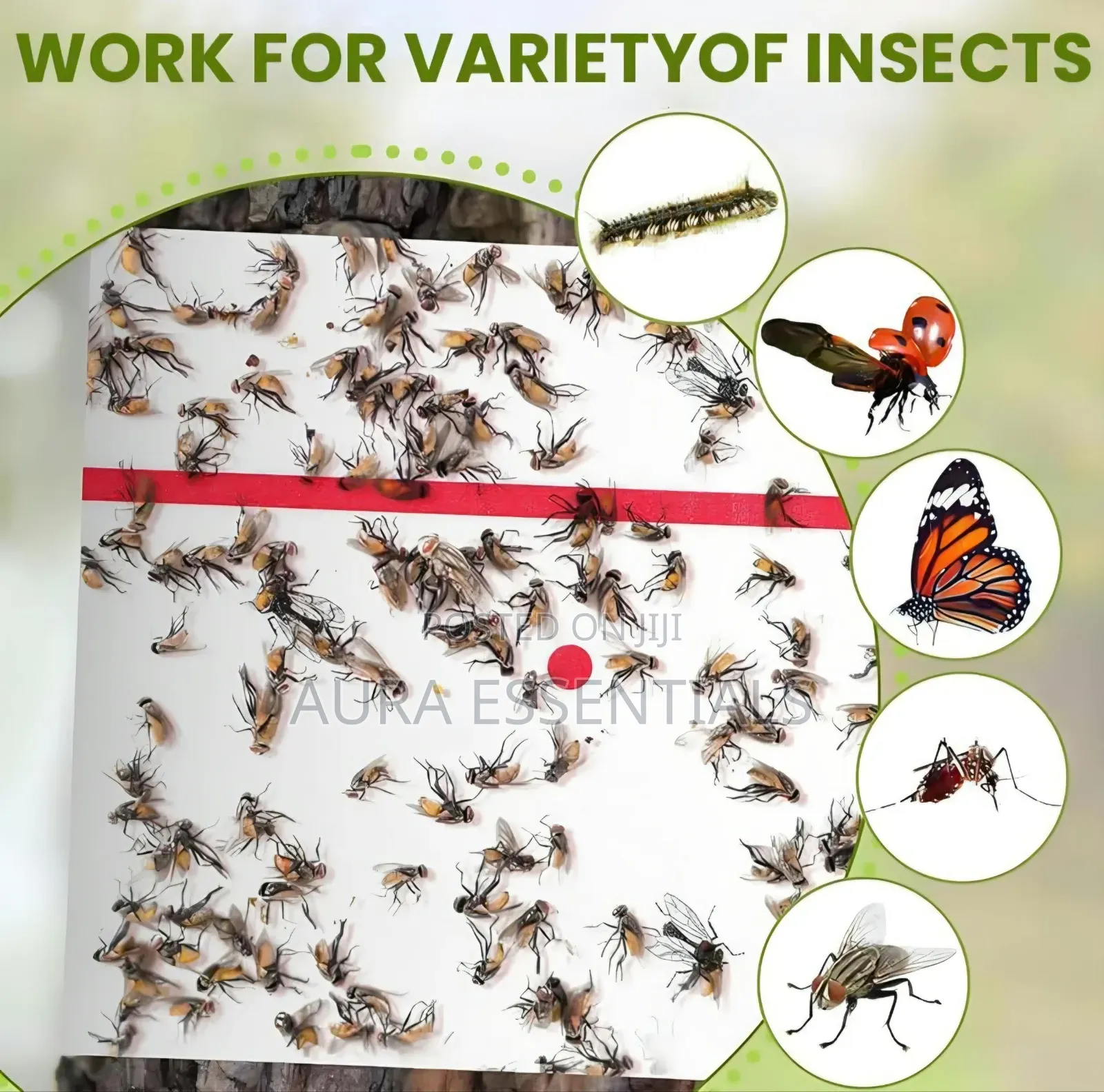 Trap Expert Flying Insect Glue Sticker