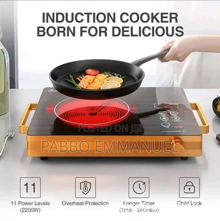 Silver Crest Single Burner Induction Cooker