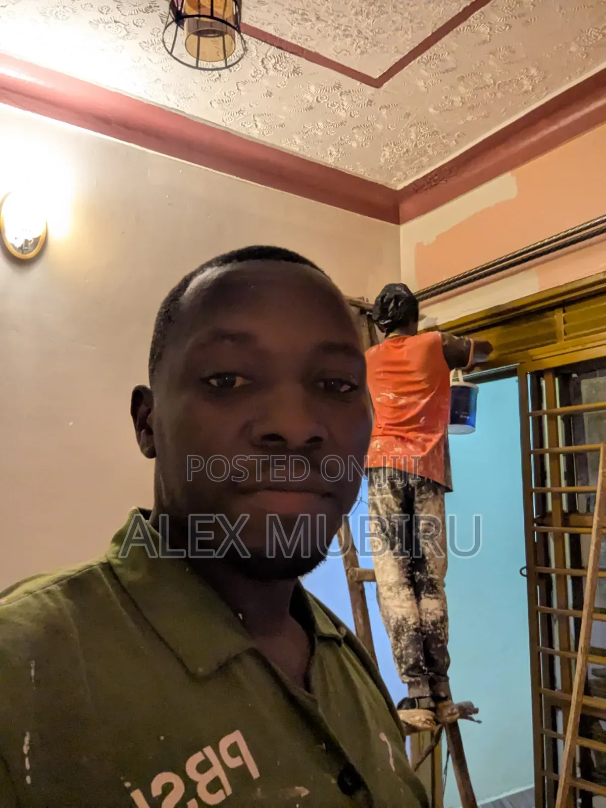 Melex Painting Services
