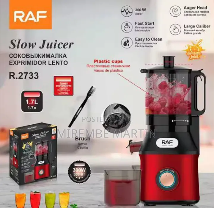 RAF R.2733 Slow Juicer, a 300W Cold-Press