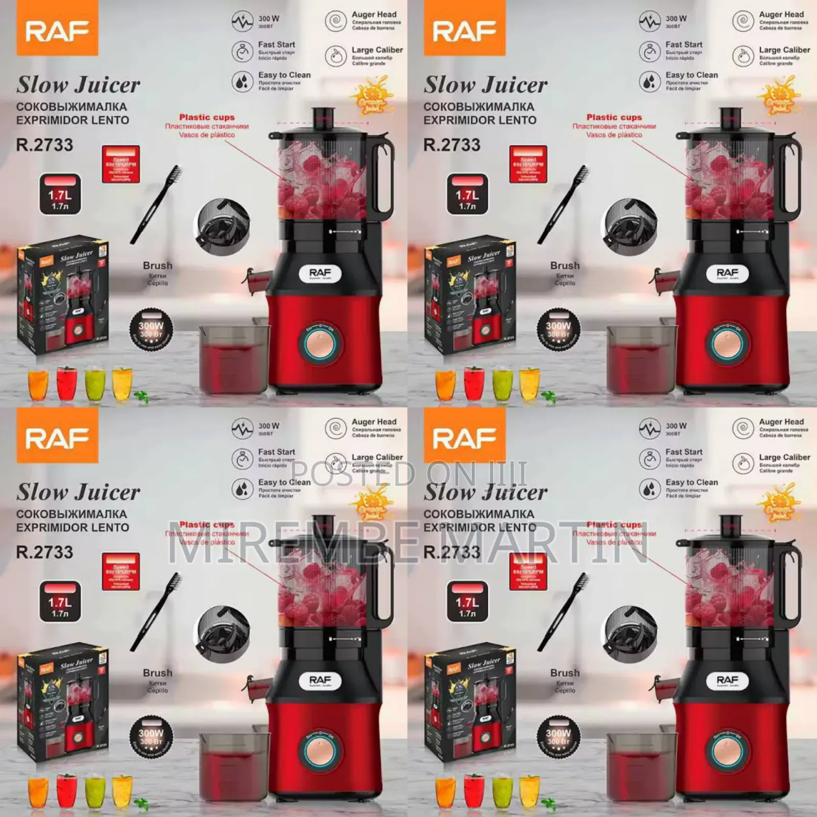 RAF R.2733 Slow Juicer, a 300W Cold-Press