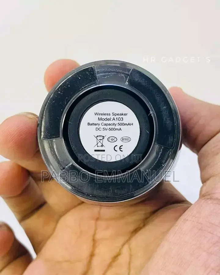 Ewa A103 Wireless Bluetooth Speaker