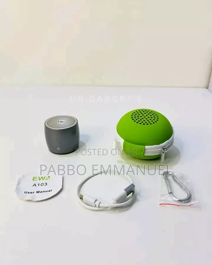 Ewa A103 Wireless Bluetooth Speaker
