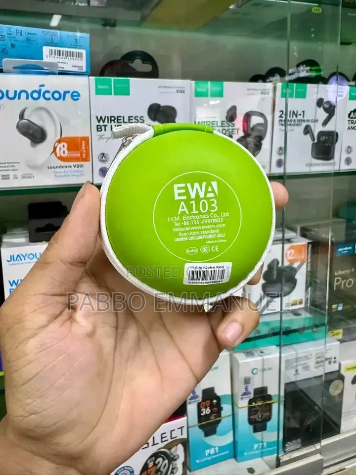 Ewa A103 Wireless Bluetooth Speaker