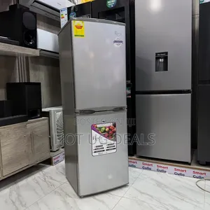 Roch 260L Double Door Bottom Freezer Refrigerator – Silver
