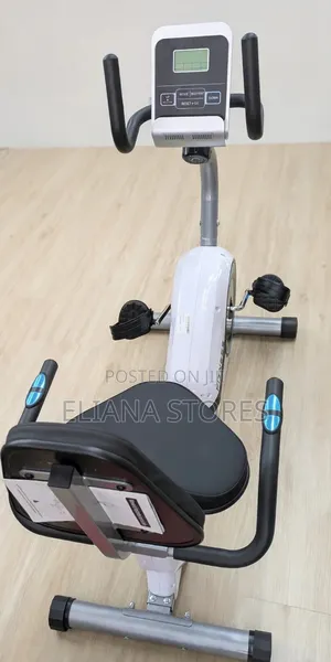 Horizontal Recumbent Exercise Bike
