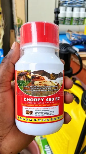 Termites and Bats Killing Chemical
