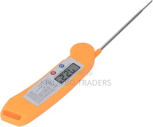 Digital Kitchen Thermometer