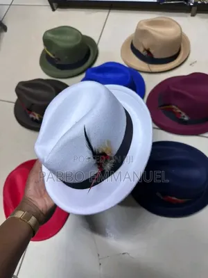 Feather Brim Fedoras