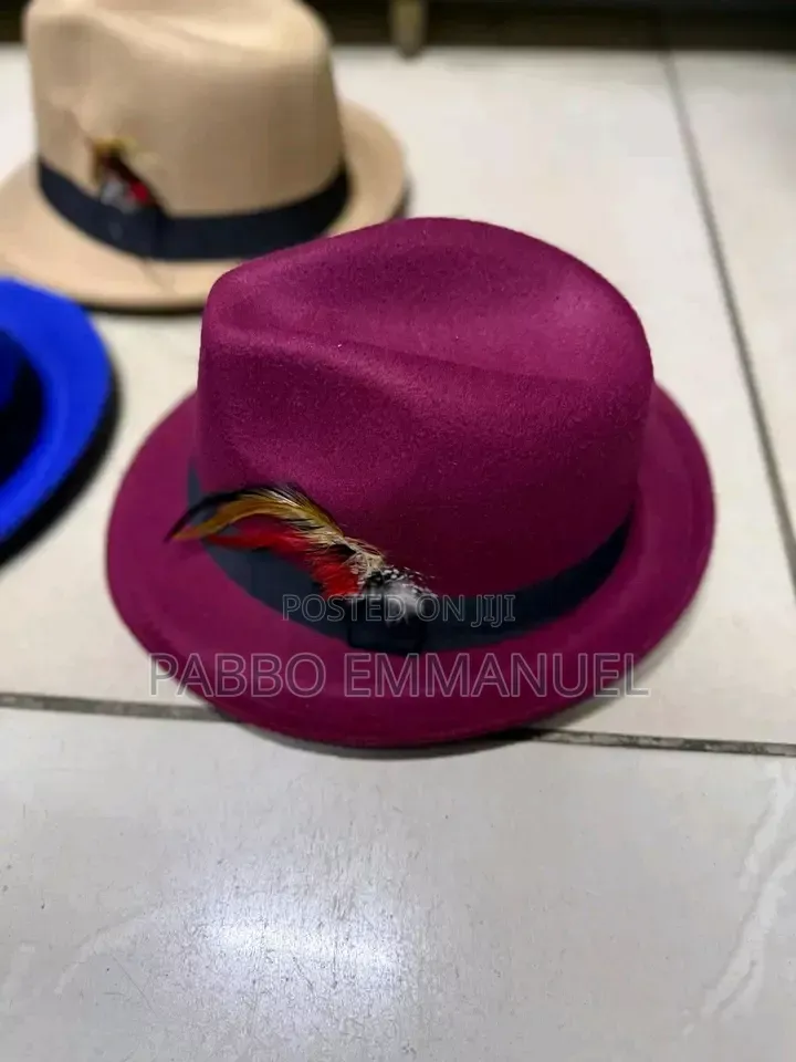 Feather Brim Fedoras