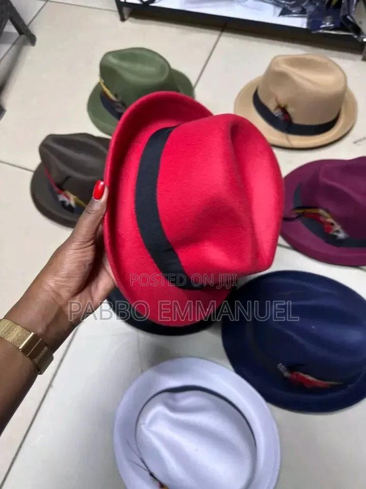 Feather Brim Fedoras