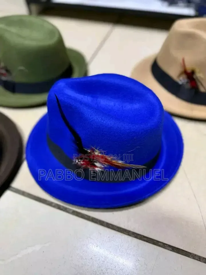Feather Brim Fedoras