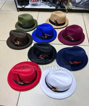 Feather Brim Fedoras