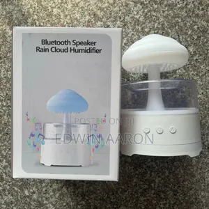 Bluetooth Speaker Rain Cloud Humidifier With a Mushroom-Shaped Lamp