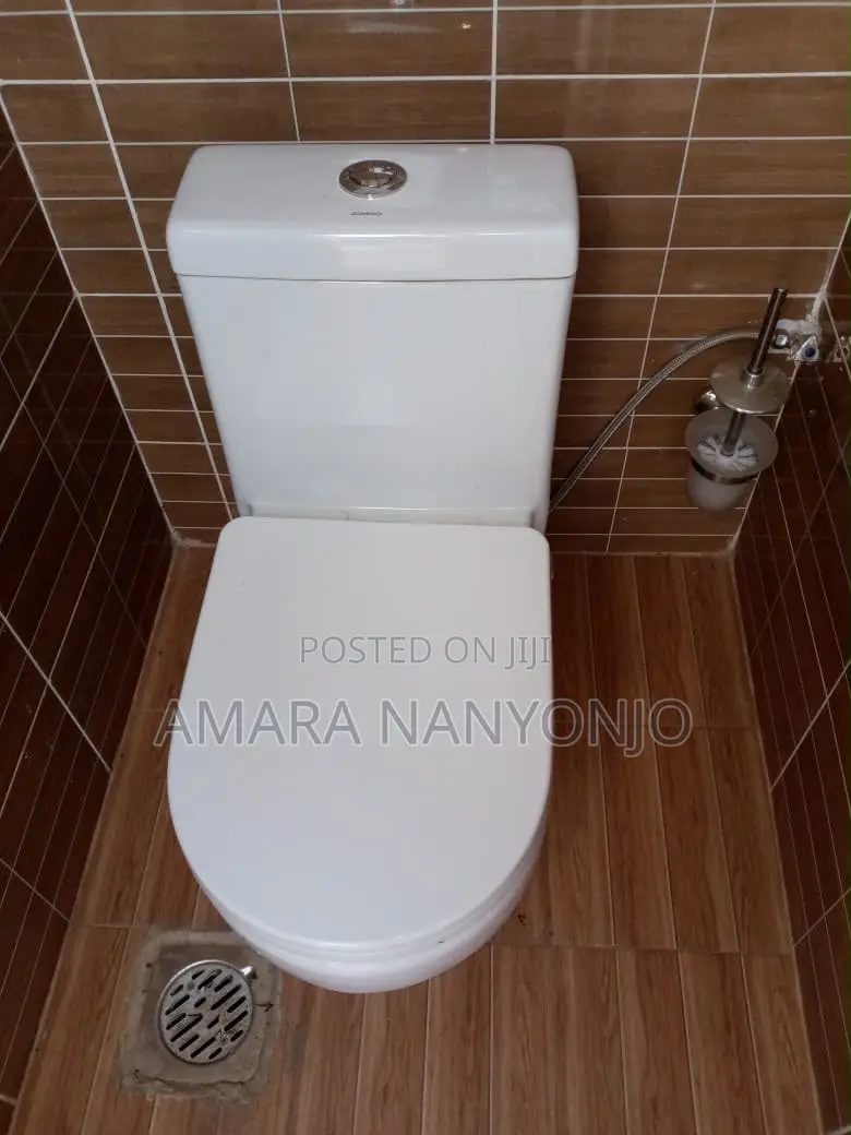 Blossom Toilet and Hand Wash Basin Combo