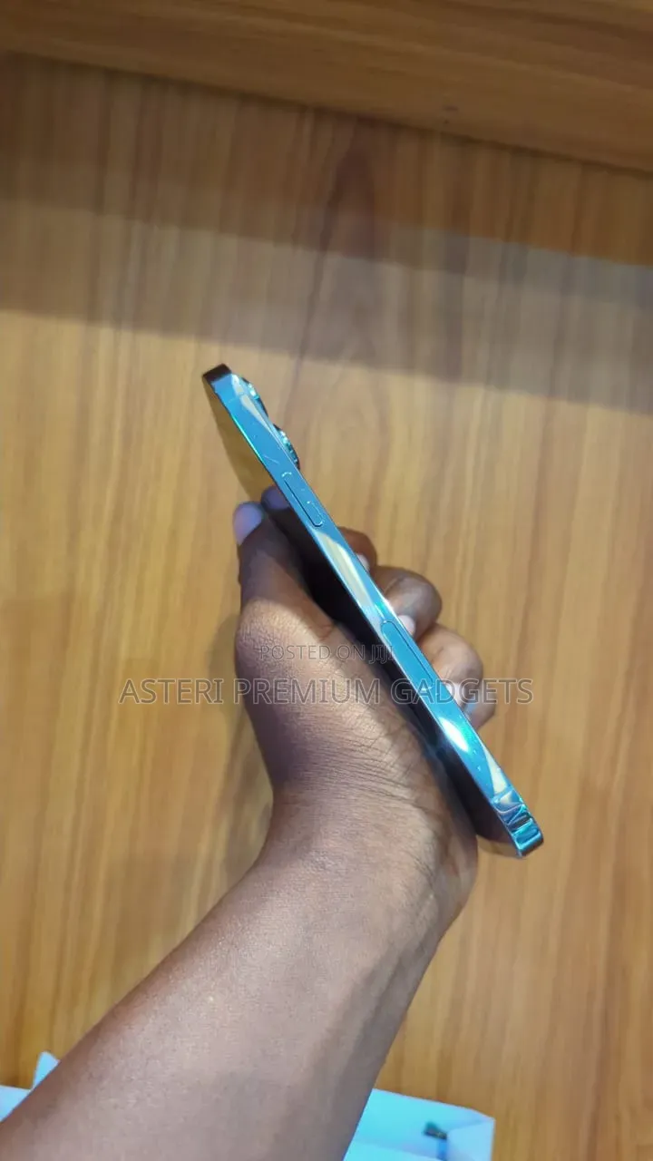 Apple iPhone 13 Pro Max 512 GB Blue