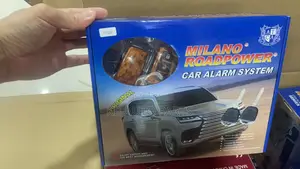 Car Alarm System