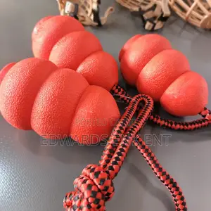 Solid Rubber Training Toy
