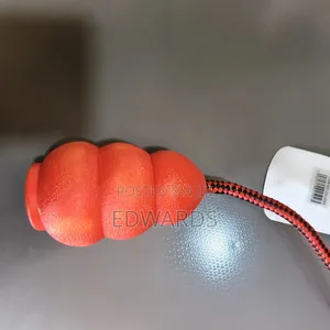 Solid Rubber Training Toy