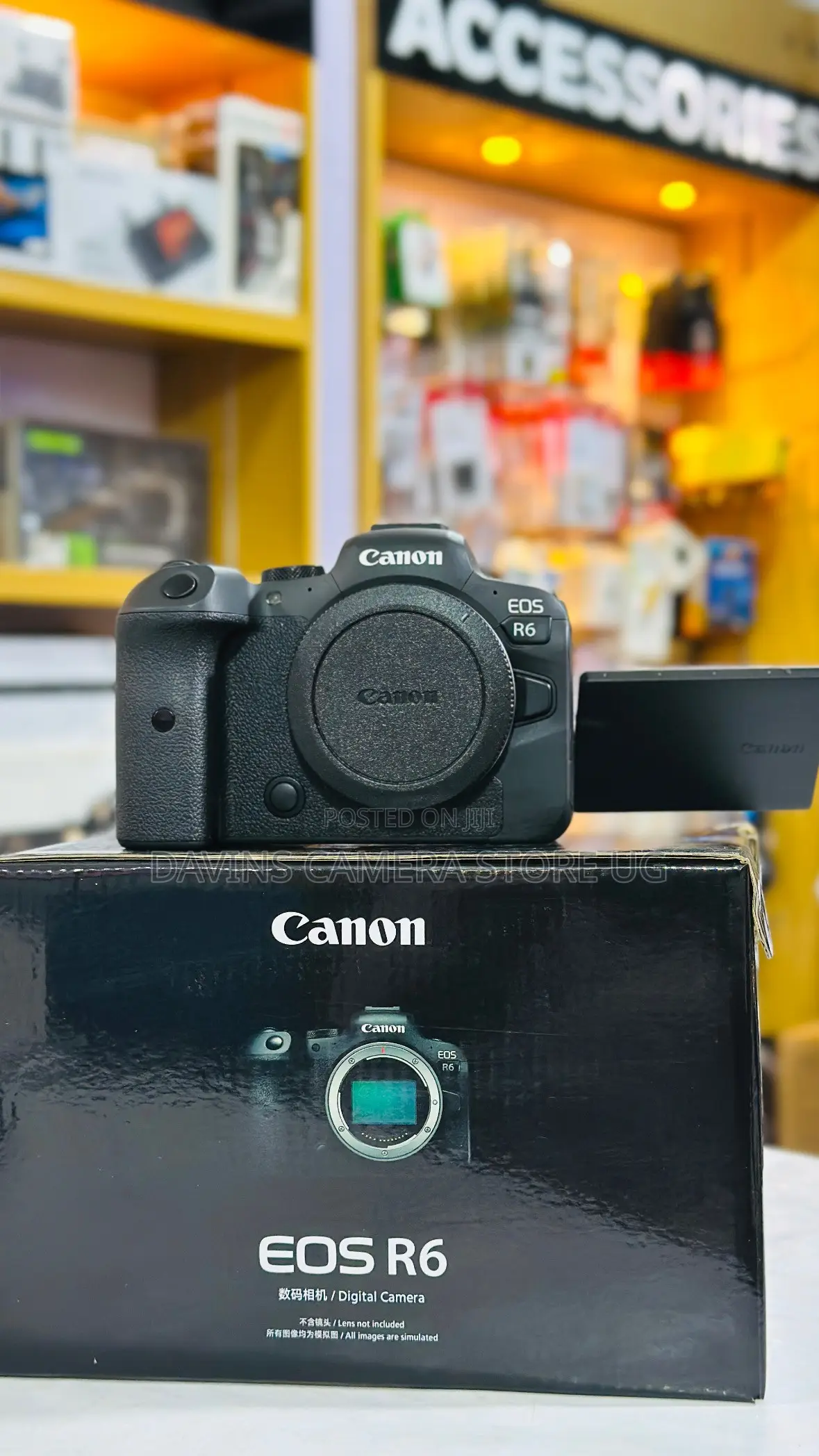 Canon Eos R6 Body Only