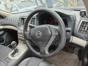 Nissan Skyline 2009 Gray