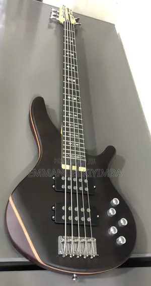 Active 5 String Bass Guitar