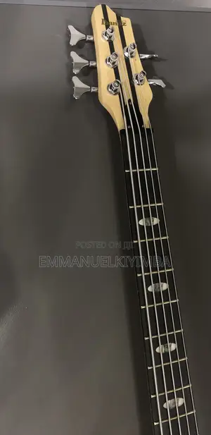 Active 5 String Bass Guitar
