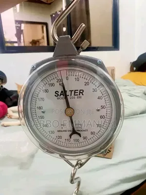 Original Salter Hanging Scale